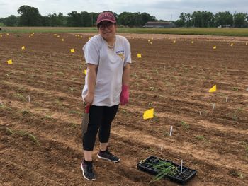 Melissa Lehrer planting seedlings
