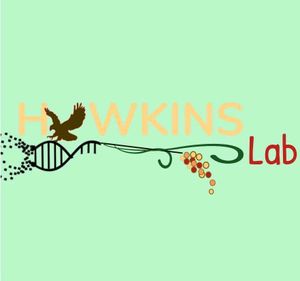 Hawkins Lab logo